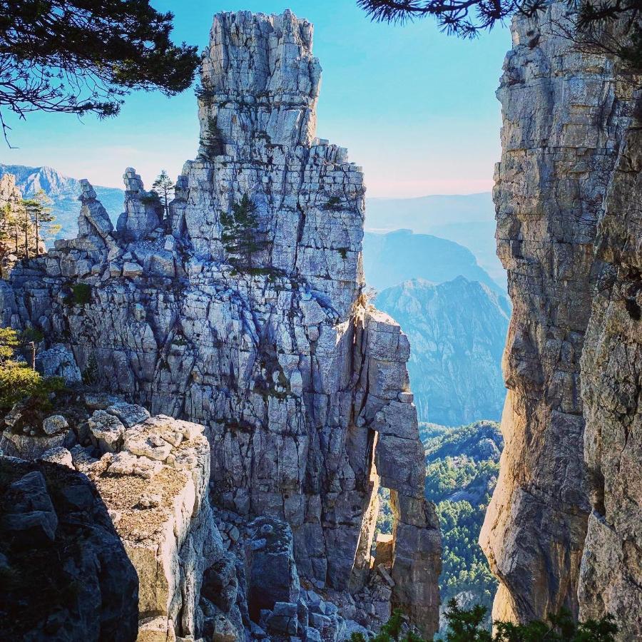 Gite D'Etape Bastide Petra Castellana Verdon 카스텔란 외부 사진